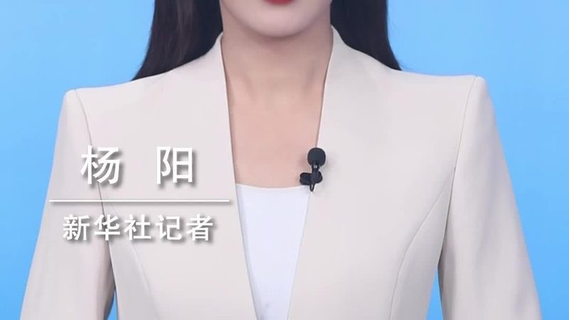 物流与供应链：本质区别与协同之道